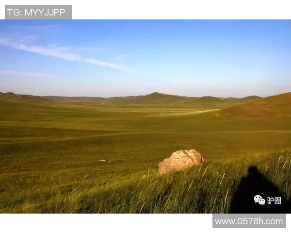 马力克的传奇人生与不屈精神在时代洪流中的启示与反思